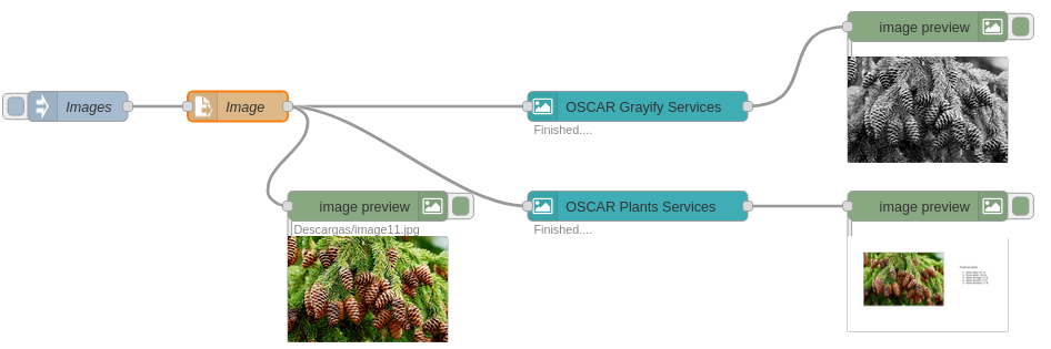 Workflow execution calling OSCAR’s Grayify and Plants services.